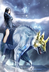 神医豪婿