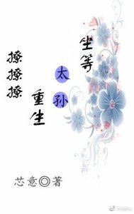 坐等太孫重生撩撩撩