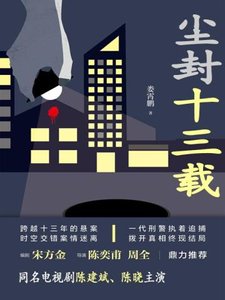 黯夜之光/尘封十三载(出书版)