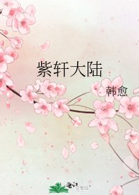 紫轩大陆